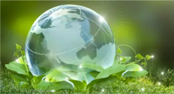 Glass looking world globe nested inside of wet leaves